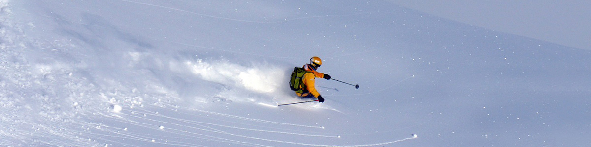 comment-choisir-skis-freeride
